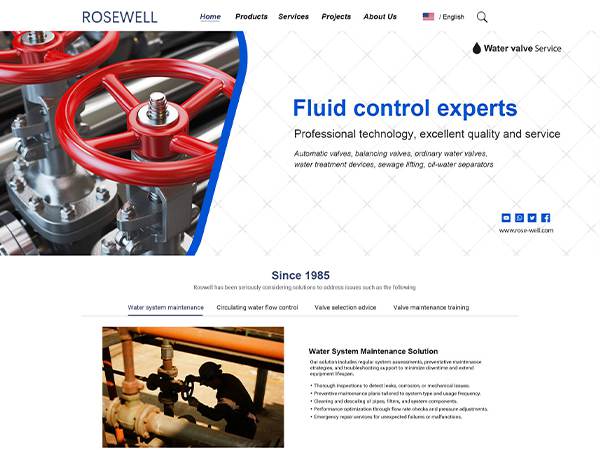 Roswell corporate website design